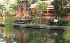 A day out in Bali Sacred Water Temple - the serene koi pond