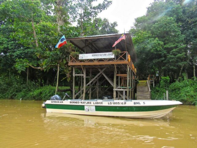 where to stay kinabatangan river