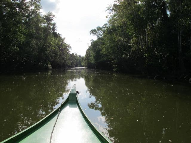 Kinabatangan tributary