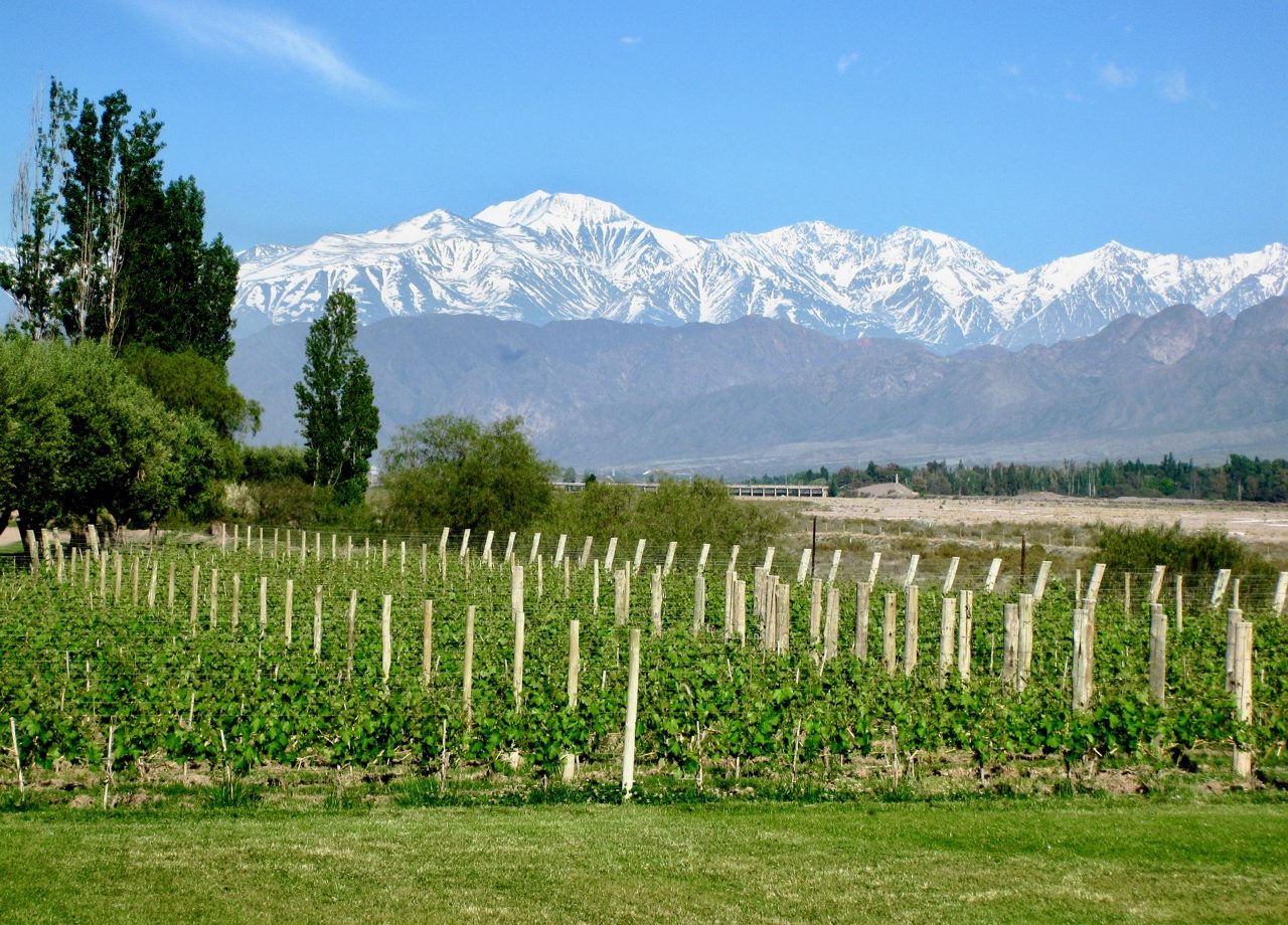 my visit to mendoza including a wine-tasting tour of mendoza