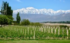 The good life in Mendoza mendoa-vineyard-andes-photo