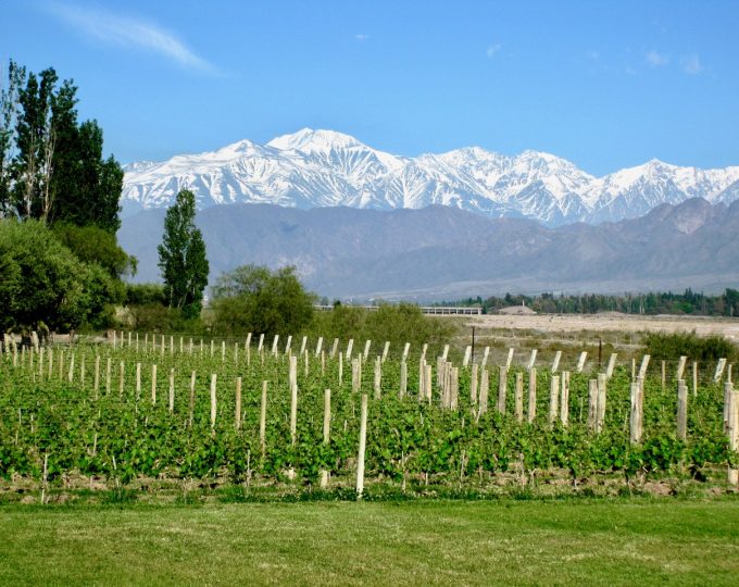 The good life in Mendoza