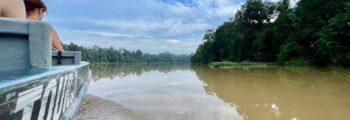 kinabatangan river safari