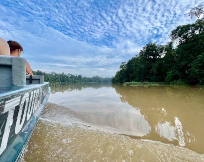 The Kinabatangan river safari