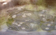 My velvet escape travel tip: Rotorua boiling mud circles web