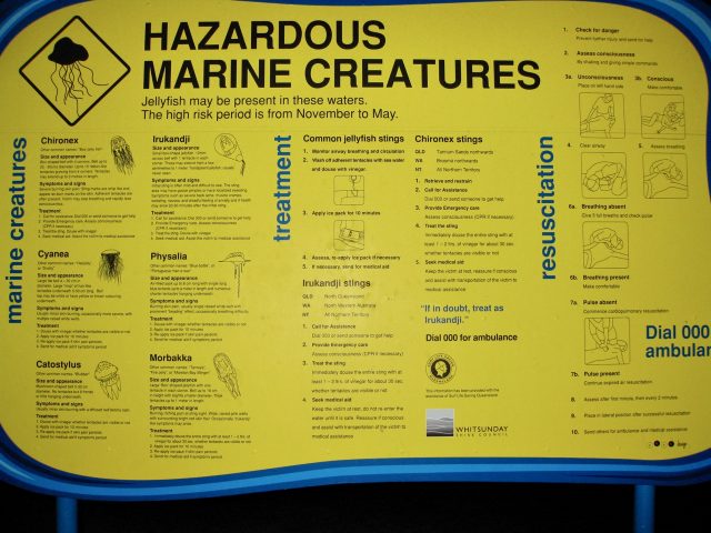 hazardous-marine-creatures-australia-photo