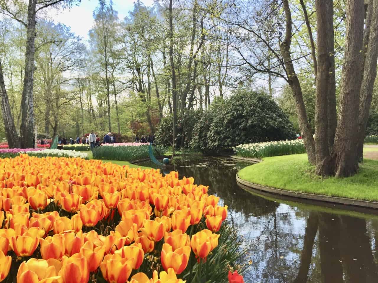 Keukenhof - the world's largest flower gardens near Amsterdam