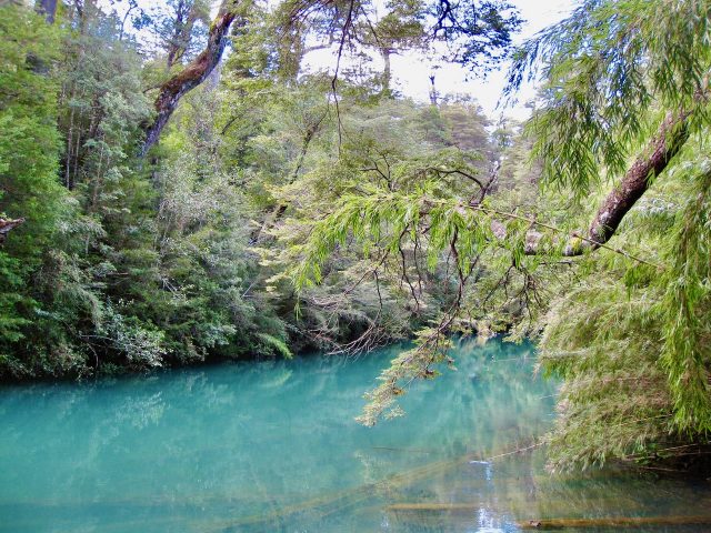 emerald-river-argentina-photo