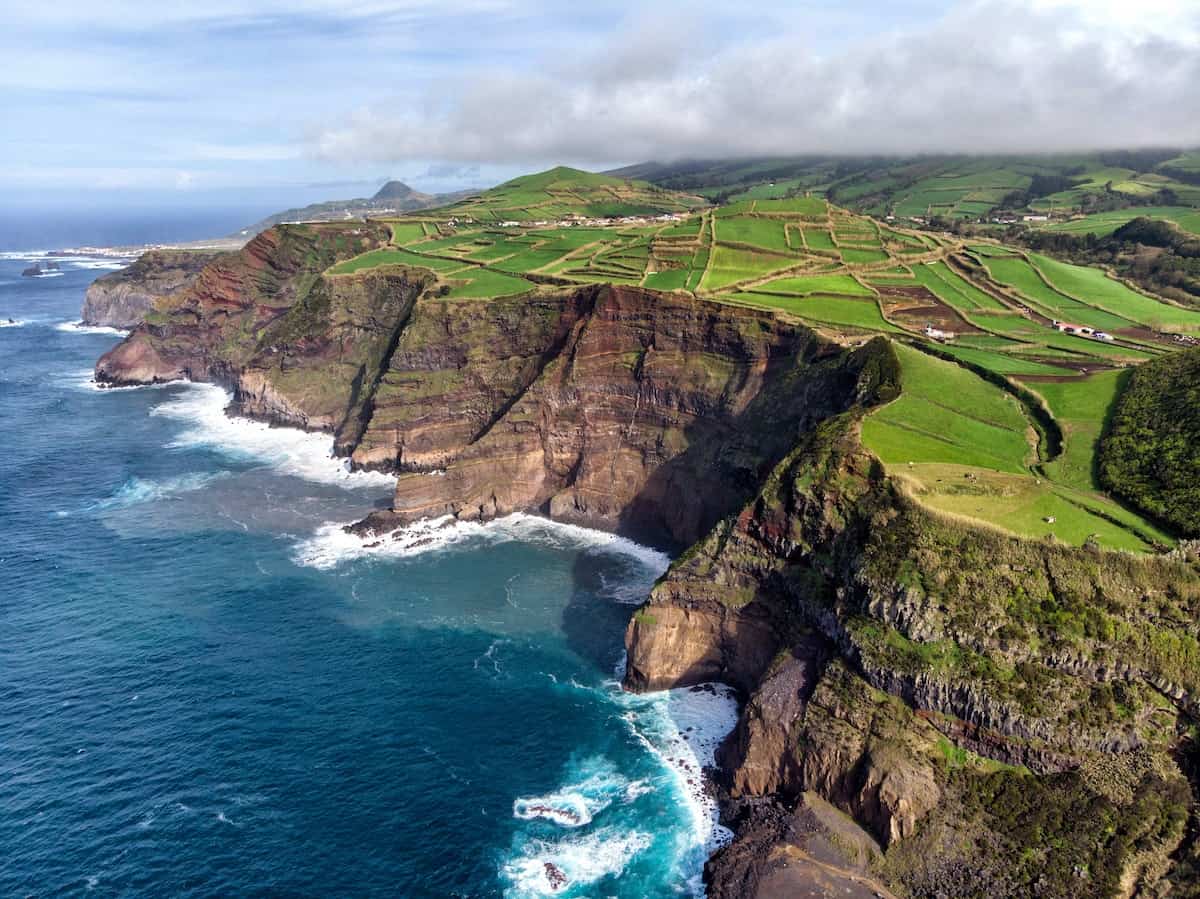 Whale-watching in the Azores - which whales to see and when