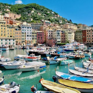 things to do in camogli photo