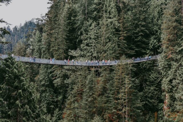 how to visit grouse mountain