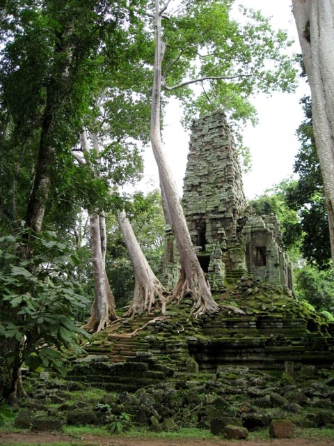 angkor-temple-jungle-photo