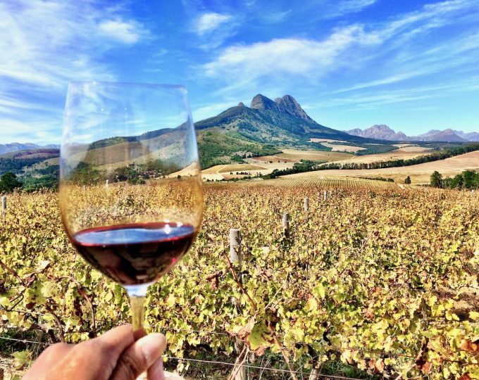 The best places to visit in the Cape Winelands