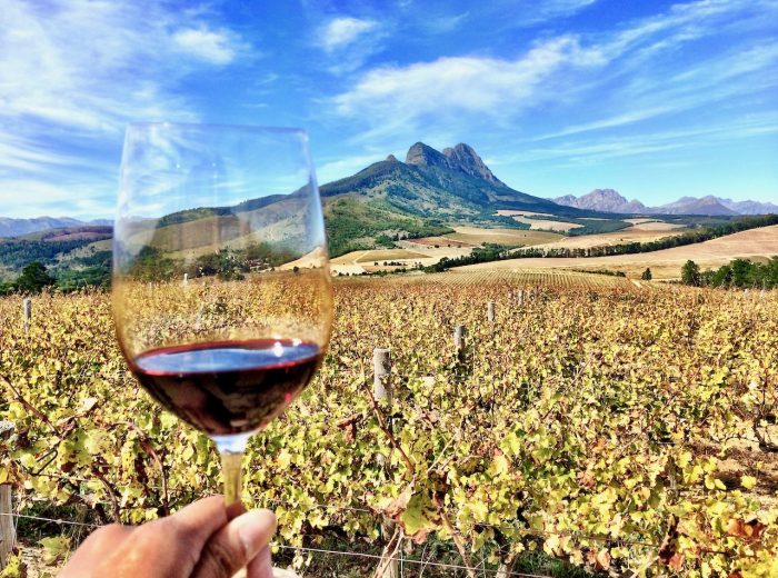 Driving the Cape Winelands