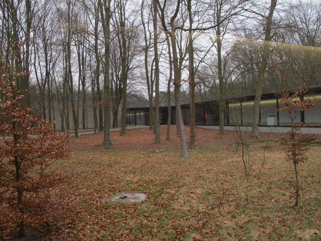 kroller-muller-mseum-forest