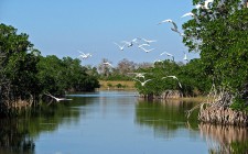 A driving holiday in scenic Florida Courtesy of Bogeskov