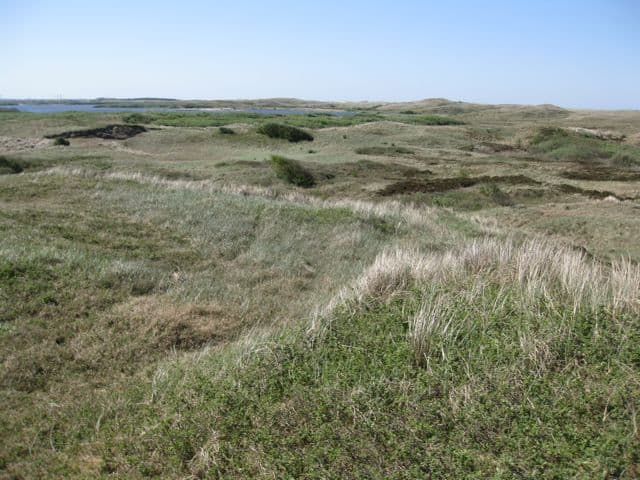 zwanenwater-nature-reserve