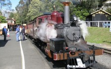 My velvet escape travel tip: Melbourne puffing-billy-steam-train