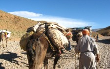 Trekking with nomadic Berbers in Morocco nomadic-berbers-morocco