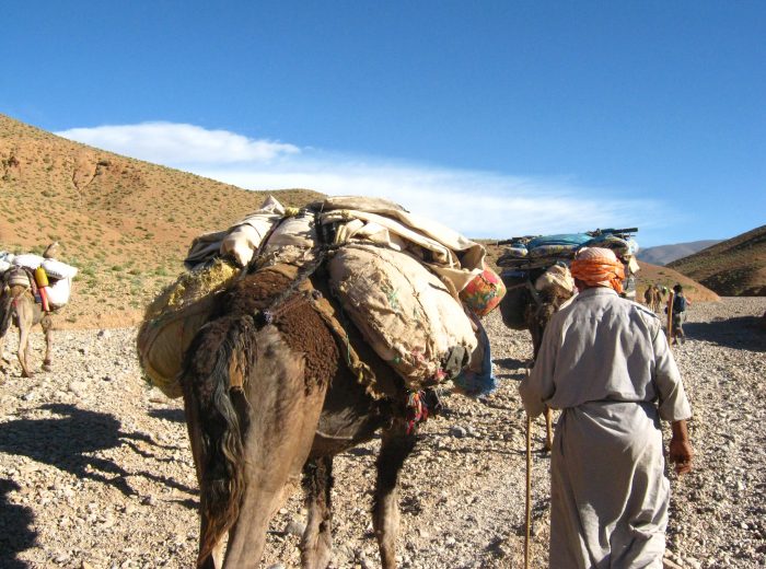 Trekking with nomadic Berbers in Morocco