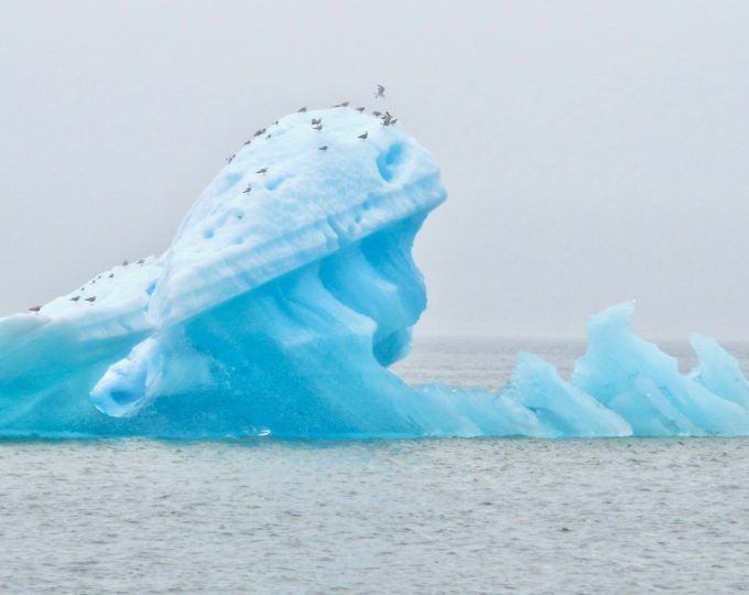 Seven mornings in Alaska