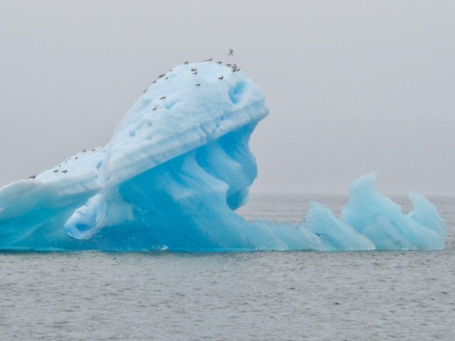 alaska-iceberg-photo