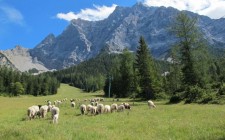 Summer in Tirol Zugspitz Arena gansalm-restaurant-view-zugspitze-photo