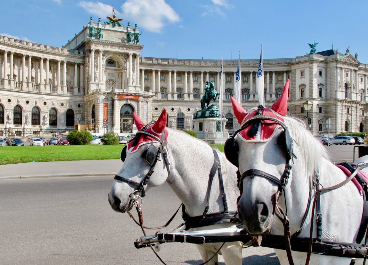 things to do in vienna for first time visitors