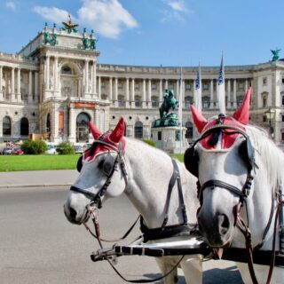 things to do in vienna for first time visitors