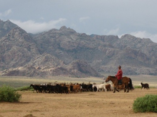 mongolia-herder mongolia-herder-photo
