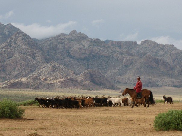 mongolia-herder-photo