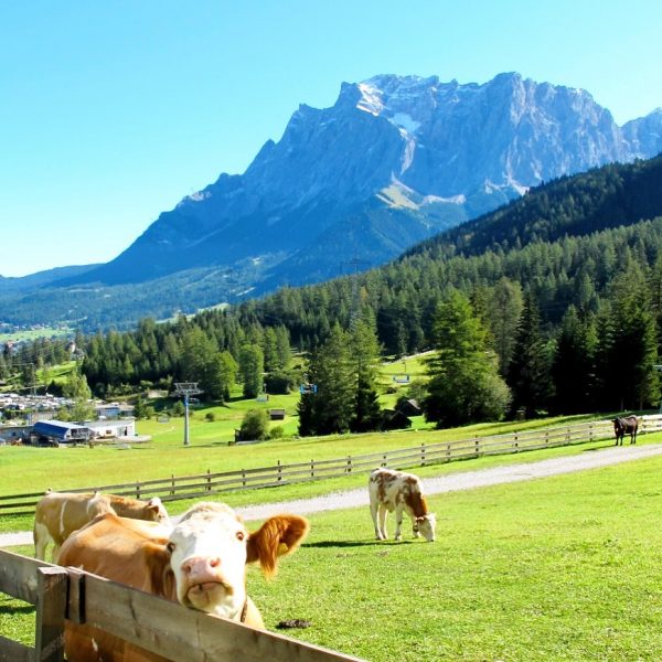 Summer activities in Zugspitz Arena, Tyrol | Velvet Escape