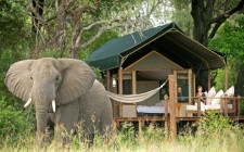 Five glamping luxury safaris Botswana – Sanctuary Stanley’s Camp