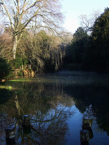 silent-pool-shere silent-pool-shere-photo