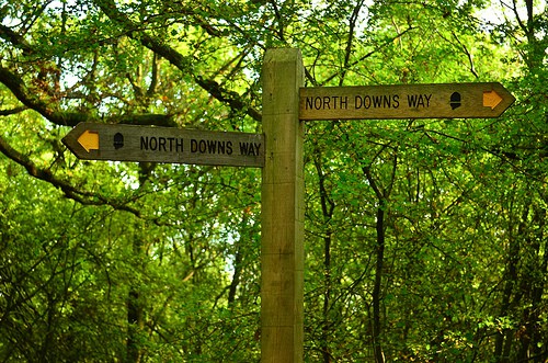 North Downs Way north-downs-way-photo
