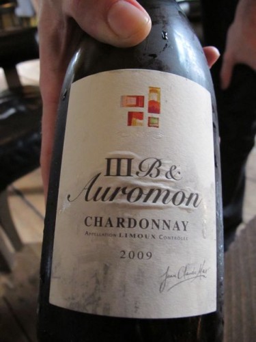 auromon-chardonnay auromon-chardonnay-photo