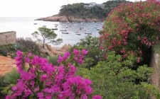 A relaxing holiday at Hotel Aigua Blava aigua-blava-bay-photo