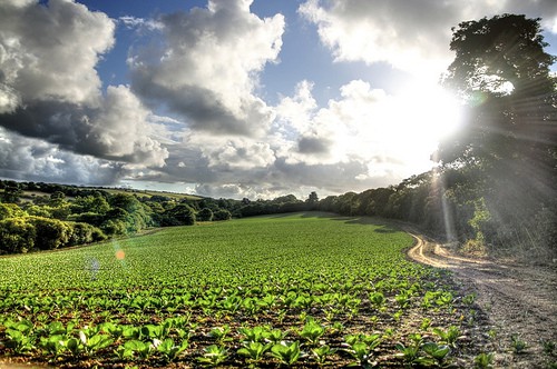 Cornwall Farm_tonemapped
