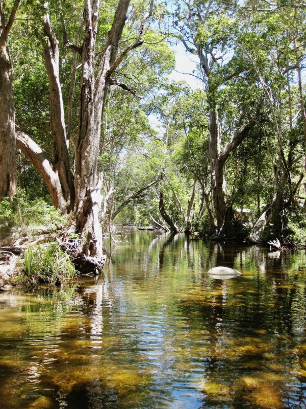 Camping at McLeod River in northern Queensland | Velvet Escape