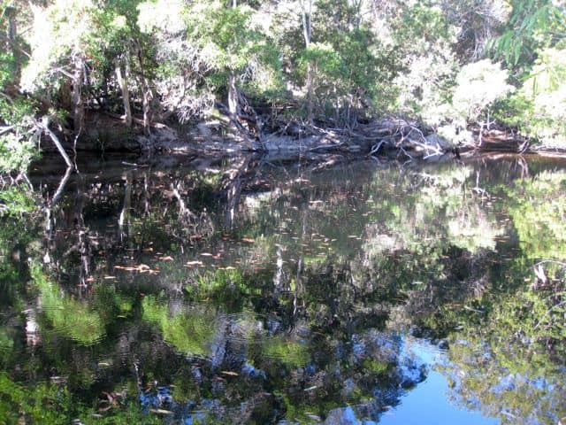 mcleod-river-reflections mcleod-river-reflections-photo