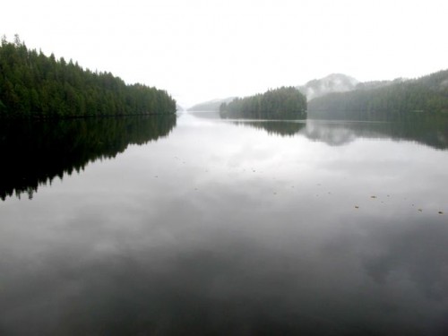 island-yes-bay island-yes-bay-photo