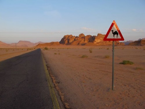 wadi-rum-road-camel-sign wadi-rum-road-camel-sign-photo