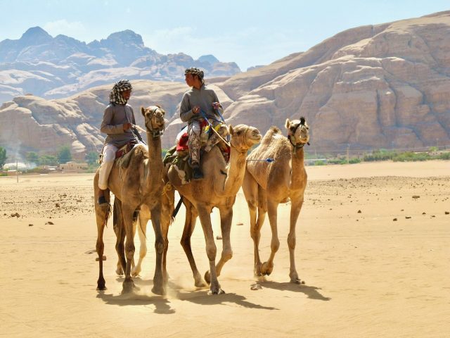 bedouins-camels-wadi-rum-photo
