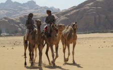 The majestic Wadi Rum bedouins-camels-wadi-rum-photo