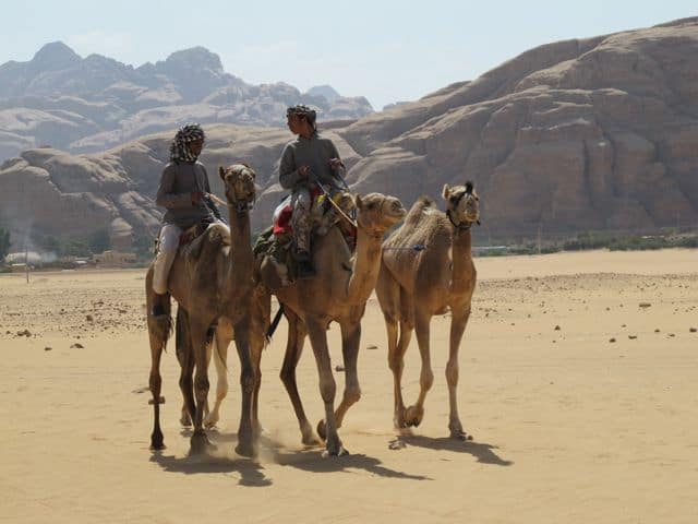 bedouins-camels-wadi-rum bedouins-camels-wadi-rum-photo