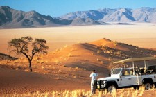 Unforgettable Etosha safari-namibia-photo