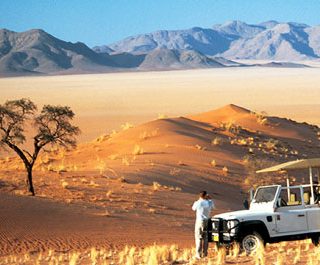 safari-namibia-photo