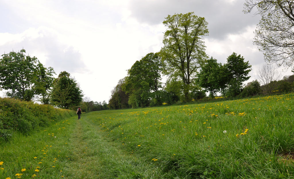 The Cotswold Way cotswold-way-photo