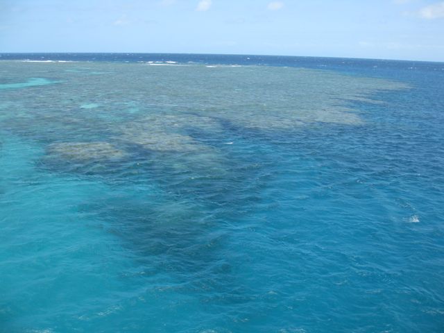 reef-photo