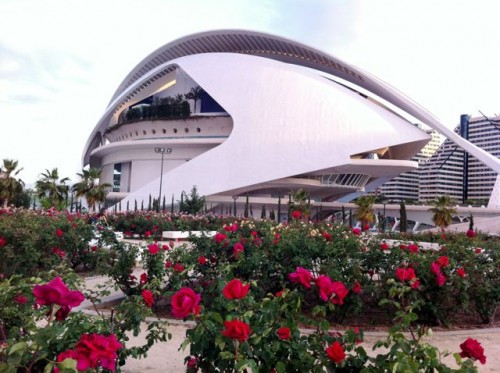 rose-garden-turia-park-photo
